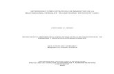 NETWORKING COMO ESTRATEGIA DE MARKETING DE LA ...biblioteca.utb.edu.co/notas/tesis/0051553.pdf · multinacional herbalife en cartagena: estudio de caso. guevara s, jenny monografia