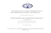 Monografia em Engenharia Química · ii Mateus Pinheiro Ramos Monografia em Engenharia Química submetida ao Corpo Docente da Escola de Química, como parte dos requisitos necessários