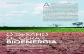 O DESAFIO DE GERAR BIOENERGIA - Pesquisa Fapesp · ção de bioenergia [etanol 2G e bioeletricidade] e é essencial para a sustentabilidade do solo. Cabe aos agricultores decidir