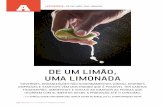 New DE UM LIMÃO, UMA LIMONADA - FGV · 2018. 12. 6. · contra os 49% da proporção atual), haverá necessidade de aumento de 70% na produção de alimentos, segundo a FAO. Considerando