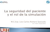 M.C.Esp. Luis Carlos Romero Quezada · Estos “agujeros en el queso” pueden ser de dos tipos: fallos activos, que son los cometidos por personas en contacto directo con el sistema,