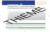 Anterior and Medial Compartments of the Thigh THIEMEDissector-Vol.-II)-with... · Anterior Compartment of the Thigh 1. Make a horizontal incision ‘A’ through the skin from the