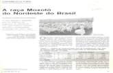 Infoteca-e: Página inicial · os caprinos nativos são brasileiros descendentes dos caprinos charnequeiros, rebanho caprino do Nordeste brasileiro está estimado em 6,7 milhõcs