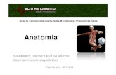 Anatomia - altorendimento.netaltorendimento.net/fotos/formacoes/anatomia-09-12-2013_13093333… · Miologia Monoarticulares Biarticulares Multiarticulares Músculos • Músculo: