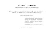UNICAMPrepositorio.unicamp.br/.../Lanzoni_HelcioDePadua_D.pdf · corpus de noventa sujeitos, sobre os quais foram obtidos dados empíricos através de questionários e análise dos