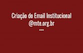 Criação do Email Institucional @mte.org · Adicionar conta de email C. Logout @mte.org.br Açöes Senha Gerador de senha Tamanho da página Email victor.palmerini Senha Senha (novamente)