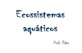 Ecossistemas aquáticos · 2016. 6. 16. · A biosfera compreende a parte do planeta ocupada pelos seres vivos. Com relação à biosfera e às terras brasileiras marque o que for