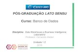 PÓS-GRADUAÇÃO LATO SENSU - Fernando Zaidan 12... · 2016. 10. 25. · Governança de Dados Objetivo A Governança de dados tem como objetivo melhorar a qualidade dos dados, protegendo
