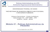Módulo 01 - Rotinas Administrativas da PRODIRH · 2011. 12. 23. · 3 Rotinas Administrativas da UFG O que é PE ? “Planejar é conceber um futuro desejado e, também, os meios