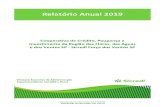 New Relatório Anual 2019 - Sicredi · 2020. 9. 11. · Região das Flores, das Águas e dos Ventos SP - Sicredi Força dos Ventos SP (“Cooperativa”), que compreendem o balanço