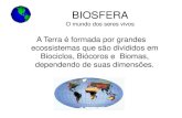 BIOSFERA - cssg.g12.br · BIOSFERA O mundo dos seres vivos A Terra é formada por grandes ecossistemas que são divididos em Biociclos, Biócoros e Biomas, dependendo de suas dimensões.