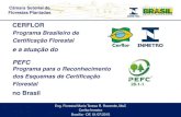 Programa Brasileiro de Certificação Florestal...• O Inmetro é reconhecido pelo Fórum Internacional dos Acreditadores – IAF. (atende à NBR ISO 17011) ACREDITAR NÃO É DELEGAR