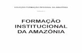 FORMAÇÃO INSTITUCIONAL DA AMAZÔNIA · 2020. 9. 5. · sociais e políticos, sejam em conexão ou não com os desejos e compromissos de estados que, sob diferentes interesses econômicos,