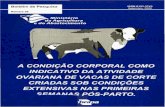 REPÚBLICA FEDERATIVA DO BRASIL MINISTÉRIO DA …ainfo.cnptia.embrapa.br/digital/bitstream/item/91606/1/A-CONDICAO... · leite, do tipo de aleitamento, da es~ação do ano, da icade