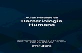 Aulas Práticas de Bacteriologia Humana · AULAS PRÁTICAS DE BACTERIOLOGIA HUMANA 1 Biossegurança no Laboratório de Microbiologia Introdução A biossegurança abrange um conjunto