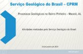 Serviço Geológico do Brasil CPRM · 2019. 1. 17. · 6 Histórico Após intensos eventos pluviométricos e em decorrência do registro de um abalo sísmico de magnitude 2.4 na escala