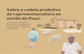 Sobre a cadeia produtiva da caprinovinocultura no sertão do …portalsemear.org.br/wp-content/uploads/2019/05/Caprinovi...4.5 Características do processamento e transformação na
