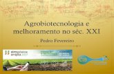 Agrobiotecnologia e melhoramento no séc. XXI · 2017. 4. 27. · Jatropha curcas Palawan Manihot esculenta (Cassava) Ricinus communis (Castor bean) Cajanus cajan (Pigeon pea) var.