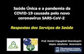 Saúde Única e a pandemia da COVID-19 causada pelo novo ... · Dispõe sobre as medidas trabalhistas para enfrentamento do estado de calamidade pública reconhecido pelo Decreto