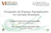 Ocupação do Espaço Agropecuário no Cerrado Brasileiro...pecuária em 2006 no Brasil (hectares por tipo de produção pecuária) Fonte: Elaboração própria a partir dos dados