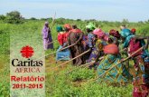 Caritas Africa Relatorio 2011-2015 - Draft 2 Africa Relatorio 2011-2015.pdf · SECAM e das Conferências Episcopais Ao participar a 16ª Assembleia Plenária do SECAM em Kinshasa
