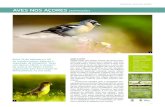 AVES NOS AÇORES [EXPOSIÇÃO]montanheiros.com/pdf-files/pingo-lava/PingoLava2017...dar a conhecer o património natural crescimento da atividade de observação e fotografia de aves,