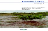 Correção do Solo para Cultivo do Cajueiro no Cerrado Piauiense · 2013. 9. 10. · Entretanto, considerando-se que um grande número de espécies de Anacardium são originárias