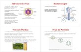 Estrutura de Vírus Bacteriófagos€¦ · Estrutura de Vírus • Seres muito simples : cápsula protéica envolvendo o material genético (DNA ou RNA) • Menores que as menores