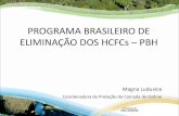 PROGRAMA BRASILEIRO DE ELIMINAÇÃO DOS HCFCs · PDF file ozonio@mma.gov.br Telefone: (61) 2028 2272/2274 “O Brasil e a proteção da camada de ozônio – uma parceria bem sucedida