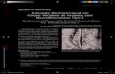 Alteração Morfoestrutural em Coluna Vertebral de Paciente ...files.bvs.br/upload/S/0101-8469/2011/v47n1/a2018.pdfColuna Vertebral de Paciente com Neurofibromatose Tipo-1 Morphostructural