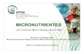 MICRONUTRIENTES - IPNIlacs.ipni.net/0/911FAF872B76432C852579840053ECE7/$FILE/...MICRONUTRIENTES Luís I. Prochnow, Milton F. Moraes y Silvia R. Stipp Si i “F tilid d 2009” Luís