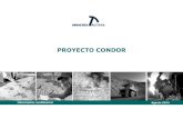 New PROYECTO CONDOR · 2016. 5. 25. · Brechas hidrotermales , cemento: Especularita, óxidos de cobre, calcopirita, calcita Se observan al menos tres tipos de eventos de mineralización