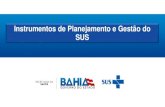 Instrumentos de Planejamento e Gestão do SUS · Apoio ao Relatório Anual de Gestão (SARGSUS), no âmbito do Sistema Único de Saúde (SUS) • Lei nº 141/ 2012 –Estabelece os