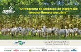 O Programa da Embrapa de integração lavoura-floresta-pecuáriaaz545403.vo.msecnd.net/uploads/2017/09/apresentacaocose...A integração lavoura-pecuária-floresta (ILPF) é uma estratégia