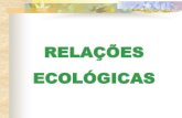 Apresentação do PowerPointescola.unitau.br/.../RELACOES_ECOLOGICAS_1473350109.pdfsobre outras plantas sem parasitá-las, usando-as apenas como suporte. Ex.: as orquídeas e as bromélias.