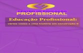 Educação Pro˜ssionalforumeja.org.br/go/sites/forumeja.org.br.go/files/... · 2015. 2. 12. · em Goiânia. g) Professor Pesquisador no Âmbito da Educação Profissional trata