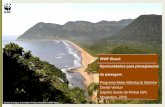 WWF -Brasil Programa Mata Atlântica & Marinho Daniel Venturi …frepesp.org.br/wp-content/uploads/2016/11/WWF-BR... · 2019. 9. 27. · natureza e os seres humanos A pressão humana