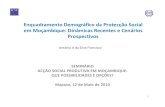 Enquadramento Demográfico da Protecção Social em ... · 1. PS e Demografia em Moçambique • Em Moçambique, o sistema financeiro de protecção social encontra‐se numa situação