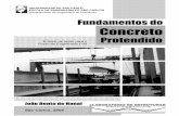 UNIVERSIDADE DE SÃO PAULO ESCOLA DE ENGENHARIA DE …monteiroengenharia.com/disciplinas/pontes/conteudo/...5.7- Armadura mínima, p.95 5.8- Sugestões de estudos, p.96 Capítulo 6: