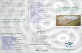 Programa do melhoramento genético do algodoeiro€¦ · v Porte baixo (Arquitetura Moderna) - 1,30 a 1,60 m v Resistência múltipla a doenças - Ramulose, Bacterioses e Viroses