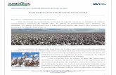 BOAS PRÁTICAS FITOSSANITÁRIAS DO ALGODÃO · culturas de inverno na resteva do algodão (Foto 8). A média alcançada nestes dois municípios que finalizaram a colheita foi de 270