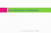 Microbiologia ambiental - docs.ufpr.brmicrogeral/arquivos/MICROAGUASOLO2013.pdfMicrobiologia ambiental Profa. Patricia Dalzoto - UFPR 10/06/2013 . MICROBIOLOGIA DA ÁGUA 10/06/2013