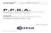 PPRA - Rio Claro - IB- 2012-2013...PPRA – RIO CLARO - IB 2012/2013 procedimentos que assegurem a sua eficiência e de informação sobre as eventuais limitações de proteção que