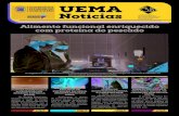 UEMA · 2018. 1. 8. · UEMA fundamentam que a energia vinda dos oceanos se destaca como fonte de ener-gia abundante e renovável. Professores e alunos do Curso de Enfermagem do Campus
