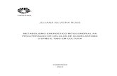 JULIANA SILVEIRA RUAS - Unicamprepositorio.unicamp.br/.../1/Ruas_JulianaSilveira_M.pdf · 2020. 10. 5. · iii UNIVERSIDADE ESTADUAL DE CAMPINAS FACULDADE DE CIÊNCIAS MÉDICAS JULIANA