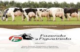 “Afixo MPF” Vacas Bonitas, Produtivas e Rentáveis. Mais que uma …fazendafigueiredo.com.br/download.php?arquivo=catalogo... · A Fazenda Figueiredo conta hoje com 32 colaboradores,