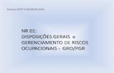 NR 01: DISPOSIÇÕES GERAIS e GERENCIAMENTO DE RISCOS ...sindiquim.org.br/public/files/Comites/Saude/A... · • 1.5.4 Processo de identificação de perigos e avaliação de riscos