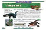 Full page photo - E-conhecimento · 2015. 3. 4. · A maioria dos répteis é de animais de sexos separados. No entanto, há ex- ceções, como a serpente hermafrodita Bothrops insularis,