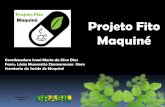 Projeto Fito Maquiné...litoral norte do Rio Grande do Sul População de 6.905 de habitantes (Censo Demográfico do IBGE - 2010). Ano de Instalação: 1992 . Realidade econômica