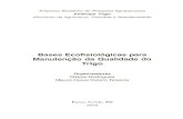 Embrapalivimagens.sct.embrapa.br/amostras/00051880.pdf · 2011. 7. 29. · culados (Fisiologia Vegetal), produziram uma obra de singu- lar importância para o desenvolvimento da triticultura